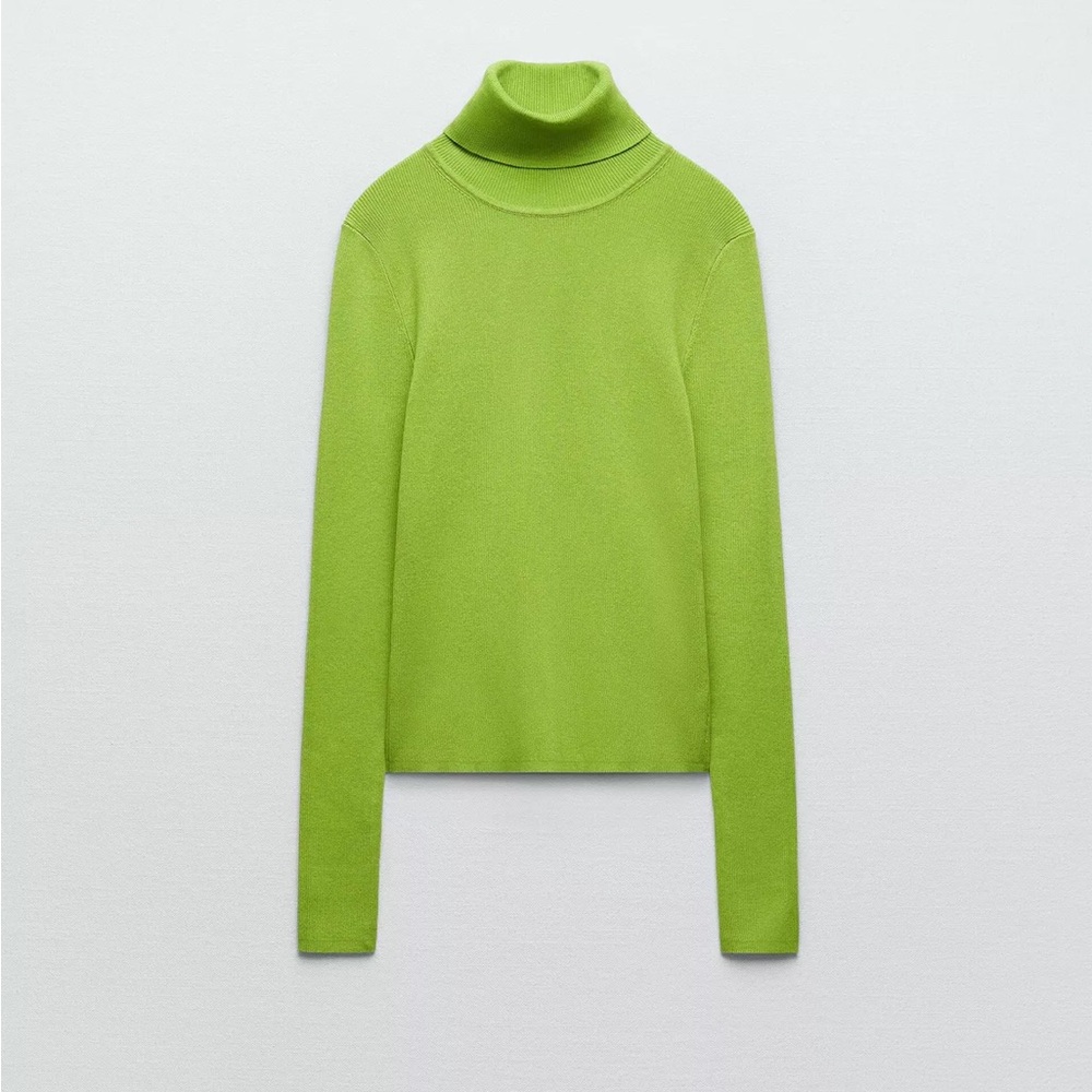 Zara Knit Turtleneck Top